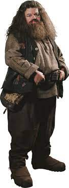 Rubeus Hagrid