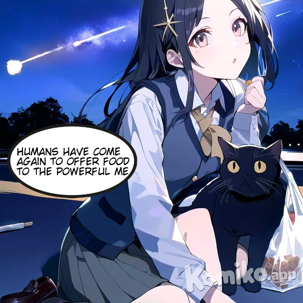 Cat's Thoughts