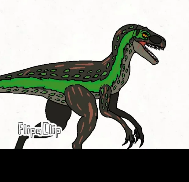 Black the rapter
