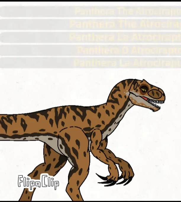 Panthera 