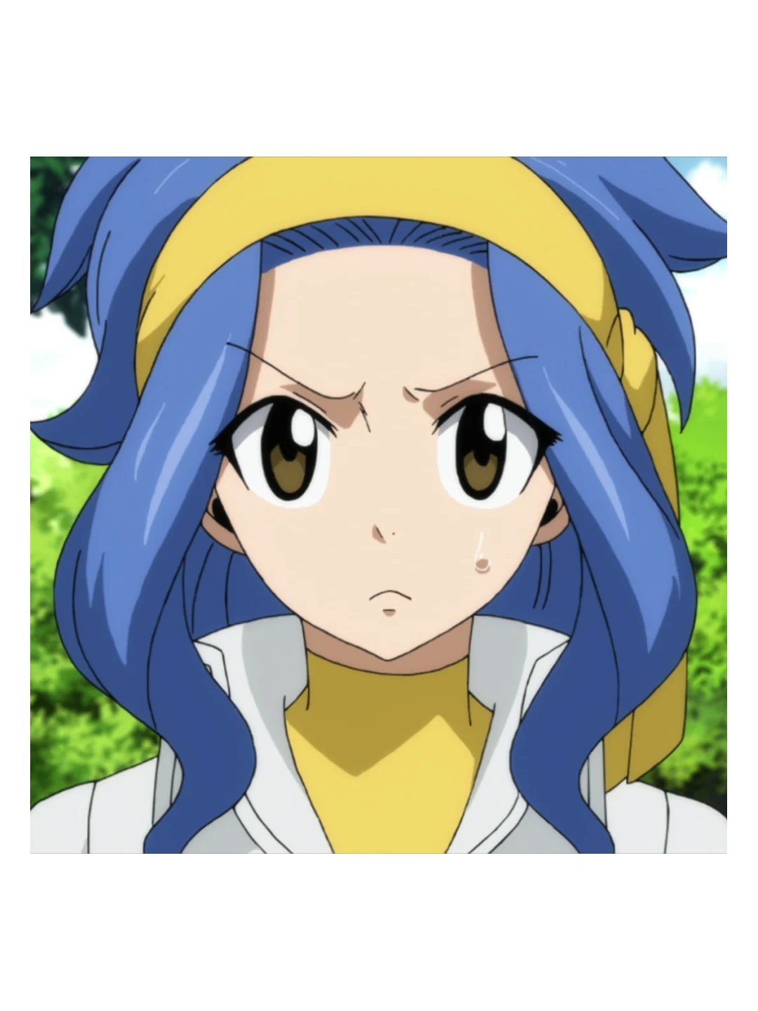 Levy McGarden