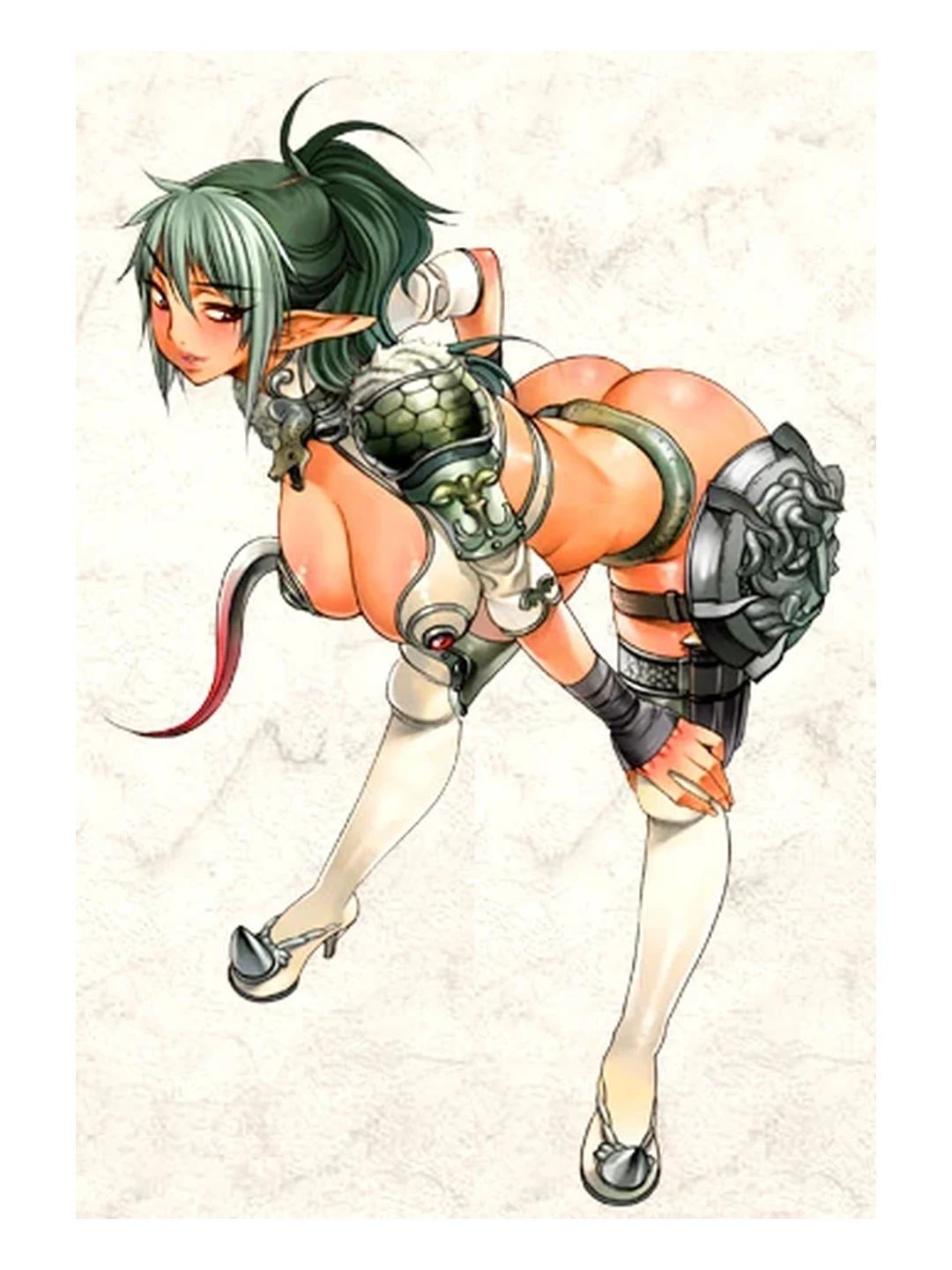 Echidna