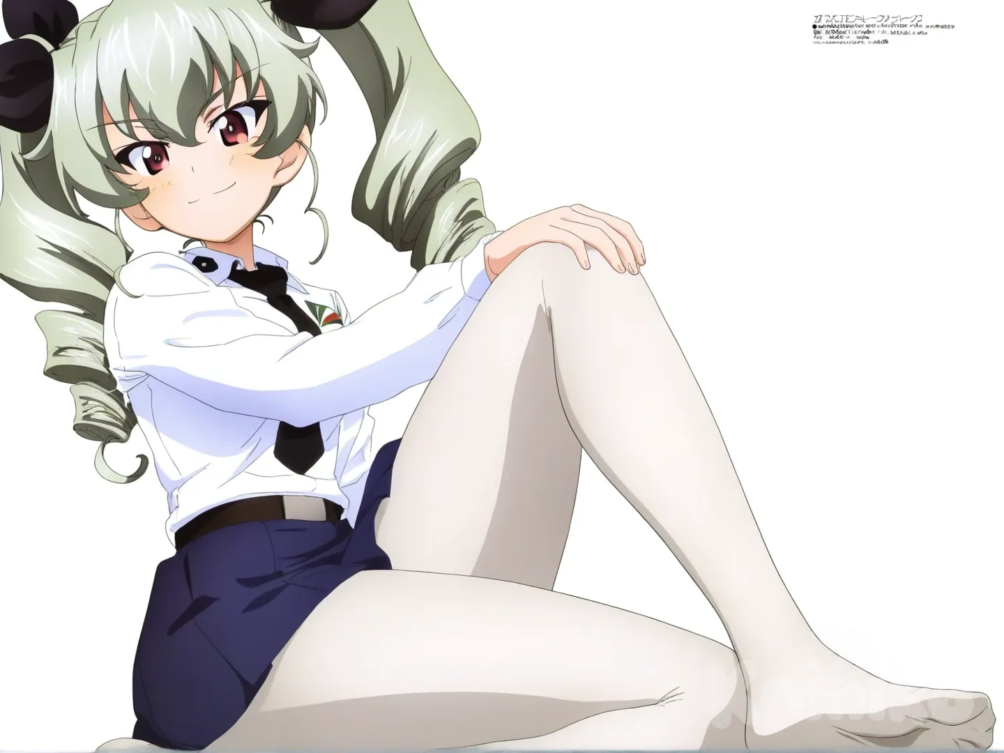 AAnchovy  girls und panzer 