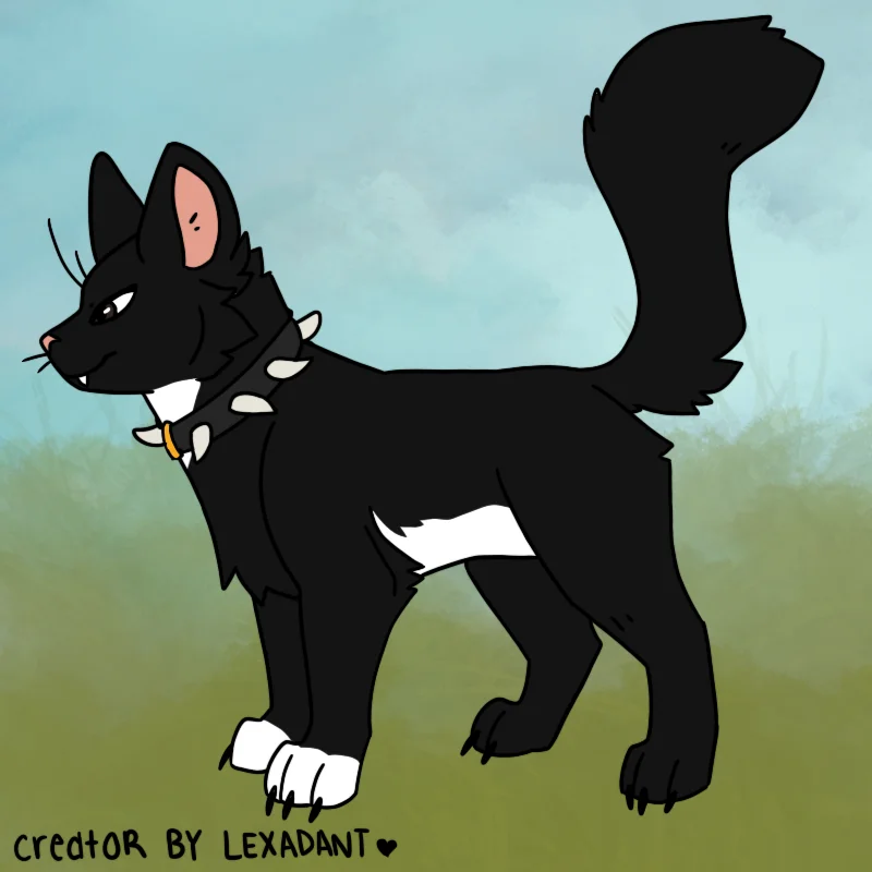 Warrior cats 