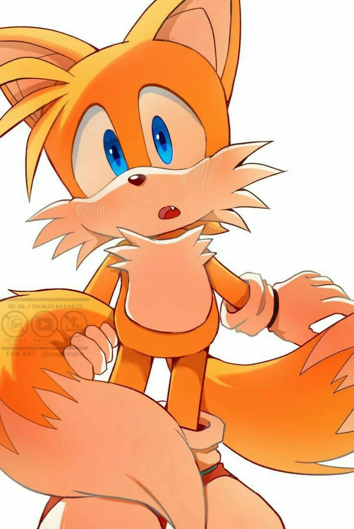 Tails the fox
