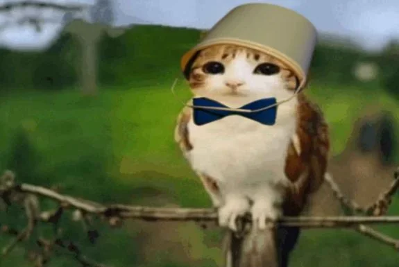 for my huzz's sake... MEOWL.