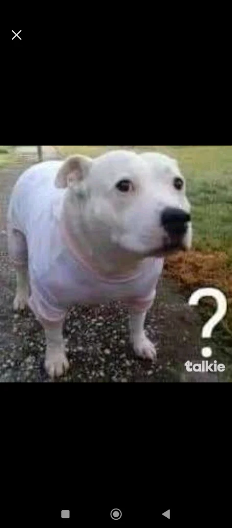 Mi vida Soy Brandon soy un chico normal con una vida normal y mi historia viene de un chico donde quiere ser youtuber pero no tiene dinero para comprarla así que le pide a su mamá que le compre una laptop y le dice que se la comprara 2026 y bueno tiene que esperar unos meses nomás