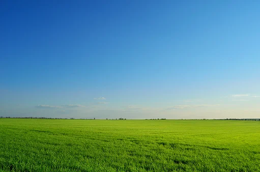 Hoy fui al campo de mi abuelo