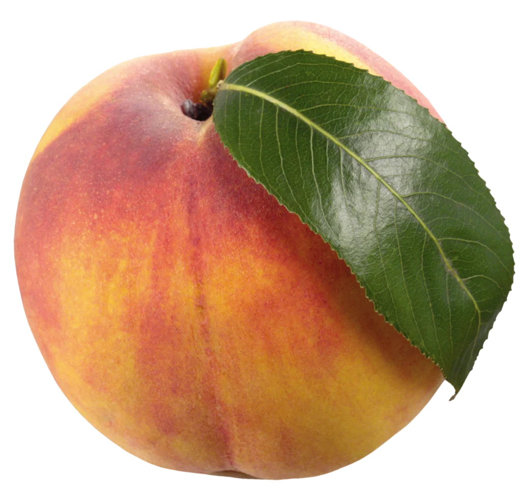 Peach