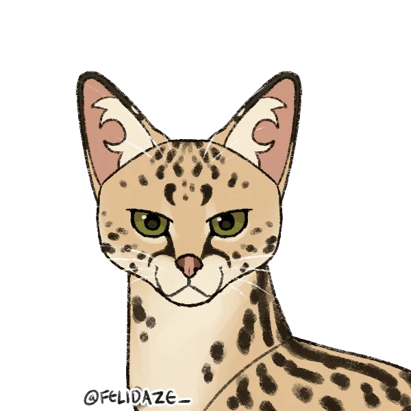 Serval design 