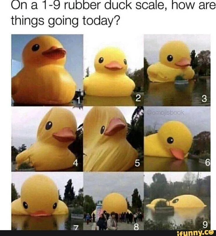 Which duck are you tonight/today?