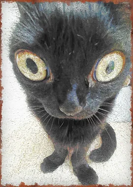 I have hired this cat to stare at you.