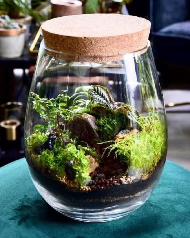 Terrarium