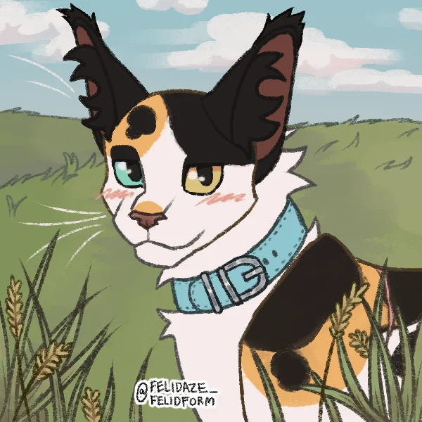 Form of the name hollyfost 