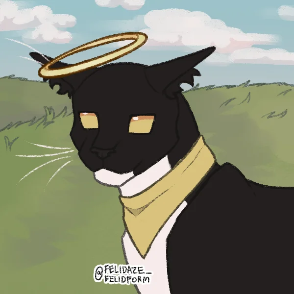 But i never to NSFW No! Hate