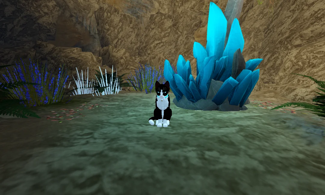 Froststar wcue x kitten game 