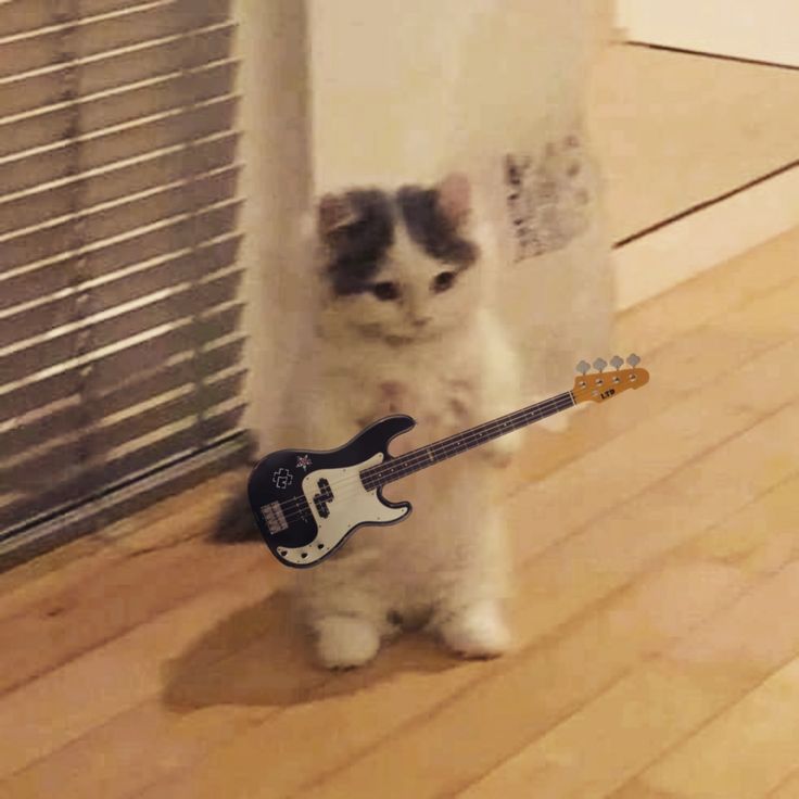 Rh AI Song generator