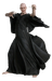 Lord Voldemort (Tom Riddle)