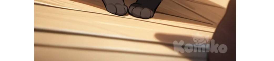 Ninja cat