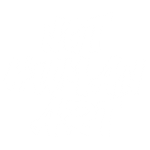 Not Human Art 