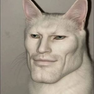 Sigma Cat man
