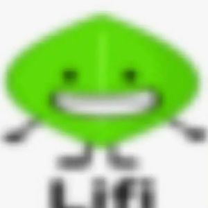-W31RD_K1D0-