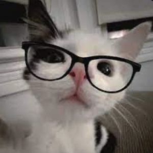 ☆⋆｡𖦹°‧★ {天使} 🍙♡‹𝟹*.🎧"