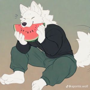 Wolf Boy 🐺