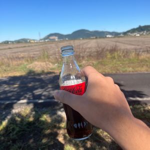 Vitor cola