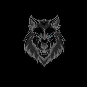 ShadowWolf