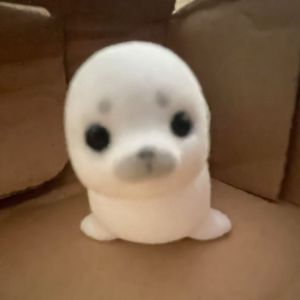 (>ᴗ•)