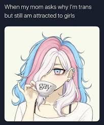 TheTransRose