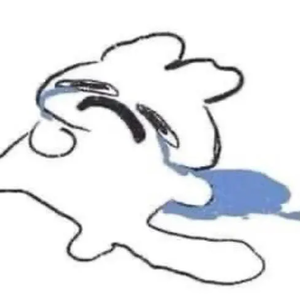 noodle.Zz