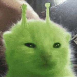 mtski
