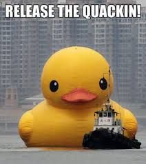 Ducko!9606