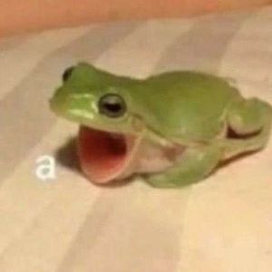 cozy frog guy