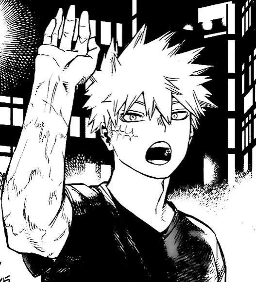 Katsuki bakugo your husband