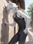 Jin Ookami