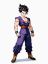 Son Gohan