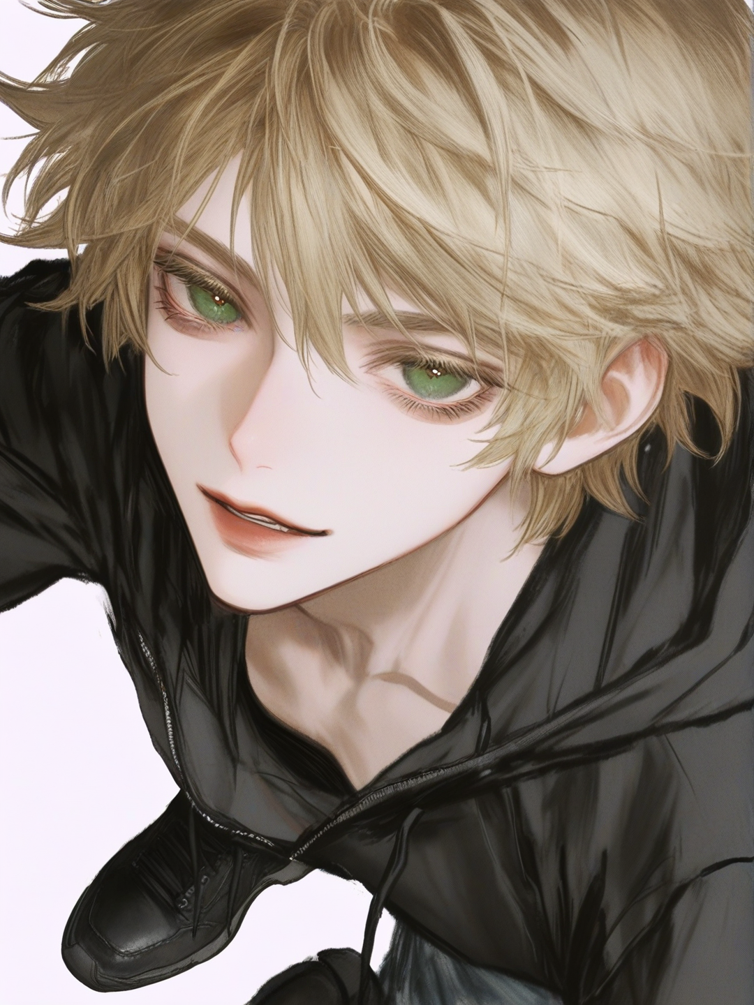 cat noir