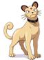 @{persian-bMkD}