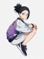 @{ash-gPPI}