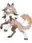 @{Lycanroc}