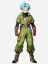 Trunks