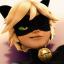@{chat-noir-Vkqp}
