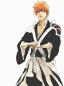 @{ichigo-oNjF}