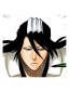 @{Kuchiki_Byakuya}