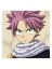 Natsu Dragneel