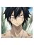 Gray Fullbuster
