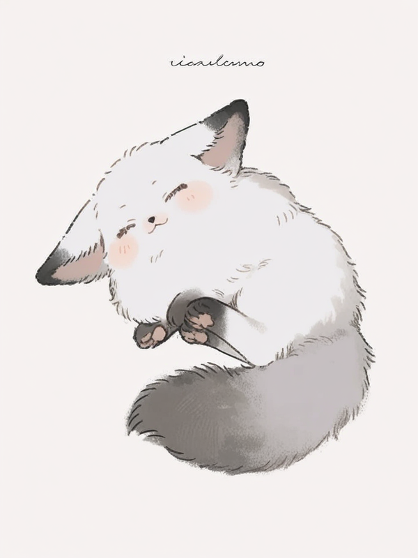 Cute fox